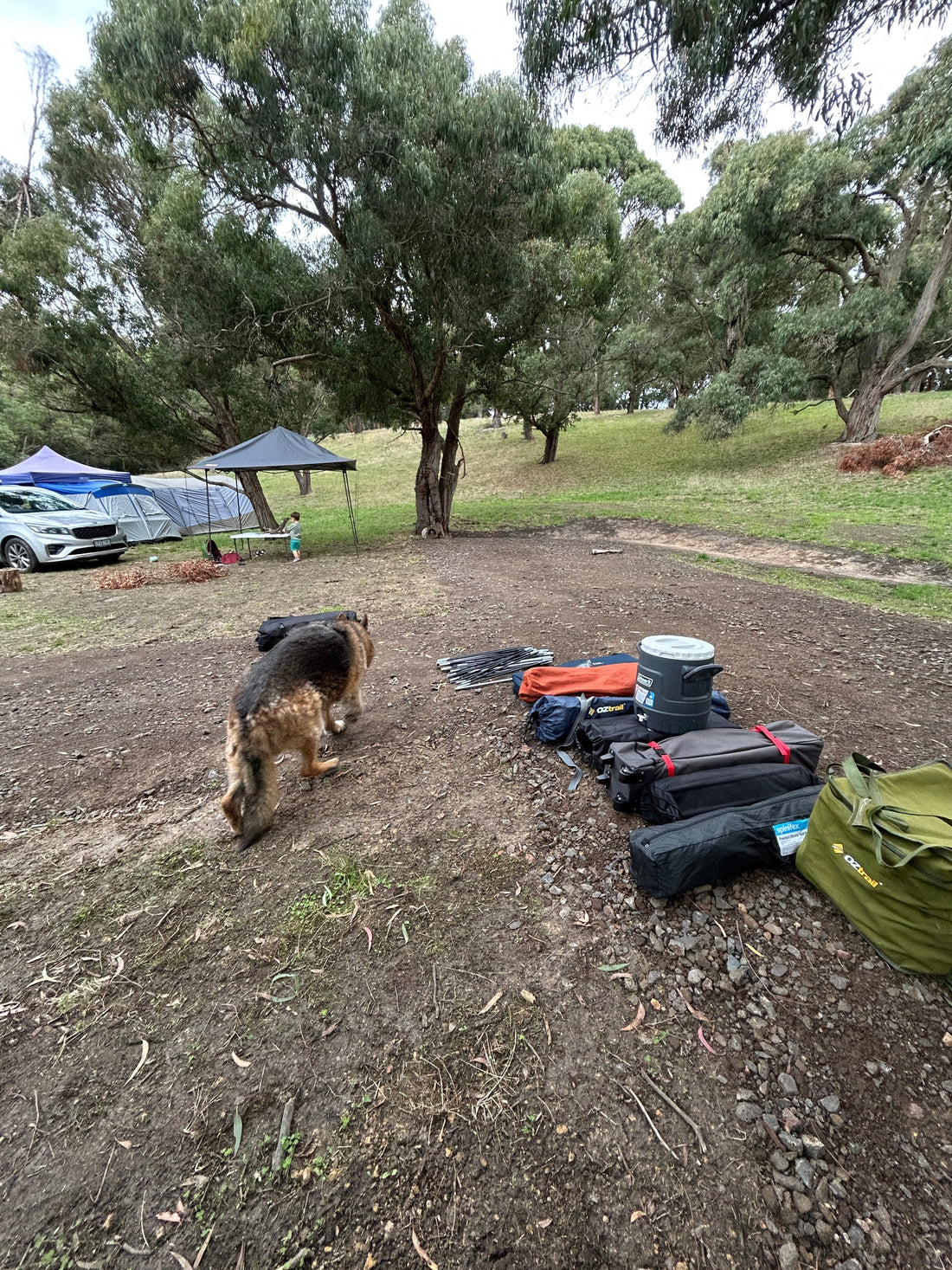 Camping Hacks Australia: Practical Ideas That Actually Work
