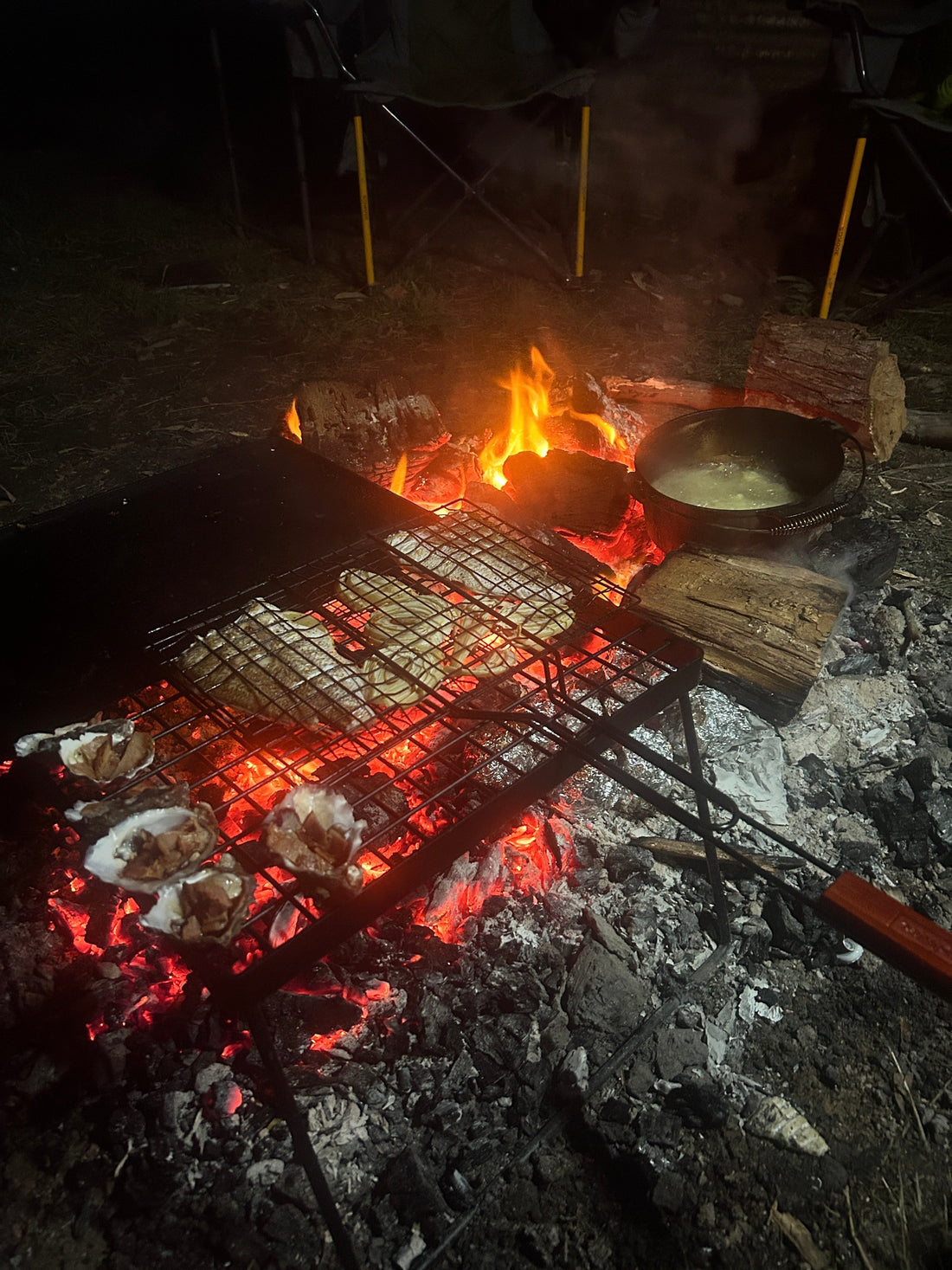Our Family Camp Cooking Kit (Chef-Tested, Four Seasons In)